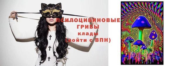 гашик Абинск
