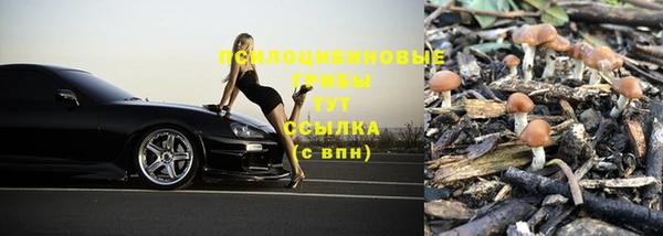 молекула духа Алзамай
