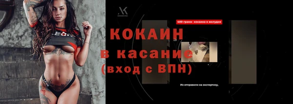 крисы Алексин