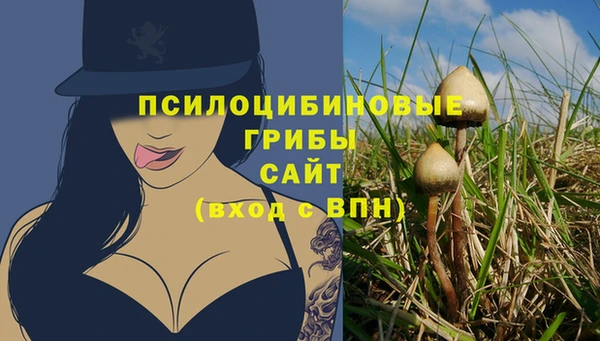 крисы Алексин
