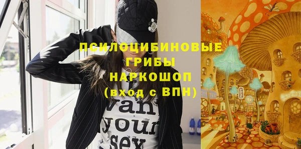 крисы Алексин