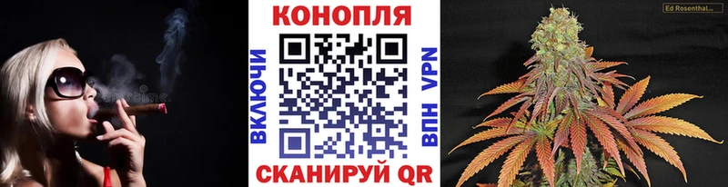 Бошки марихуана Amnesia  как найти наркотики  блэк спрут зеркало  Бобров 